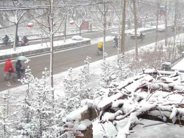 鄭州大雪 鄭州大雪